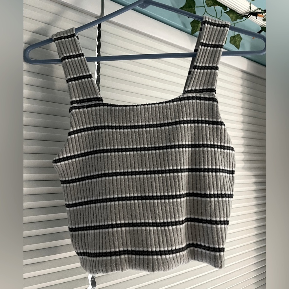 American Eagle Tan and Grey Stripped Cropped Tank Top